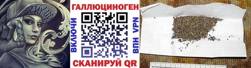 Купить где  Саров  Псилоцибиновые грибы мицелий 